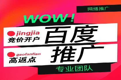 百度广告推广案例分享
